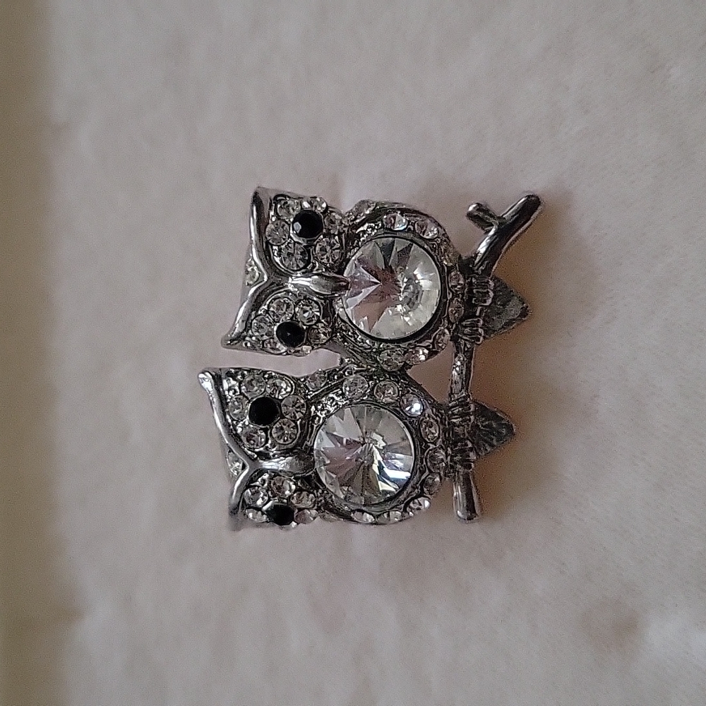 Two Owl Brooch